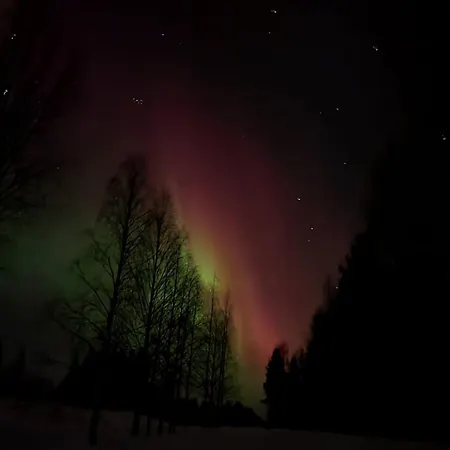 Aurora - Modern Comfort Centre Daire