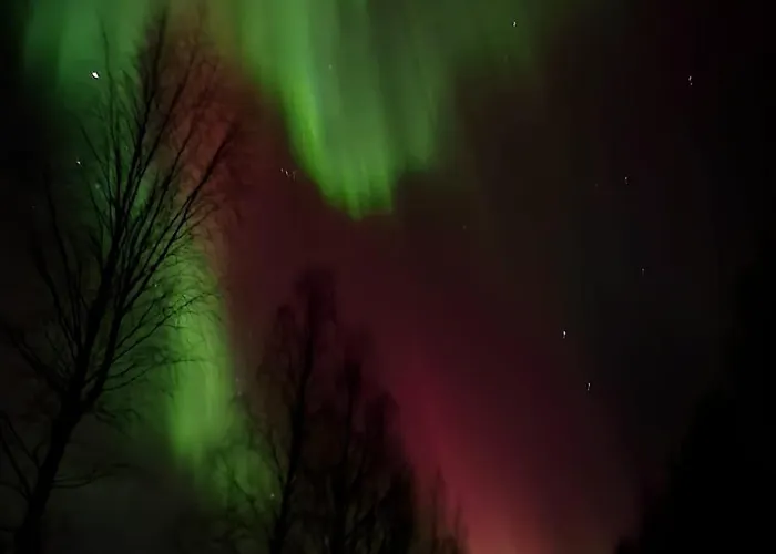 Aurora - Modern Comfort Centre